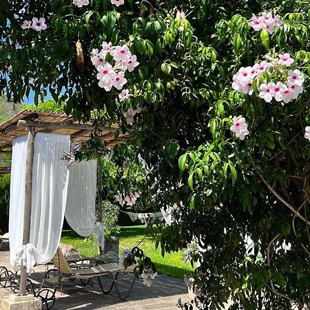 Masseria Casina Montana Corigliano dʼOtranto Dış mekan fotoğraf