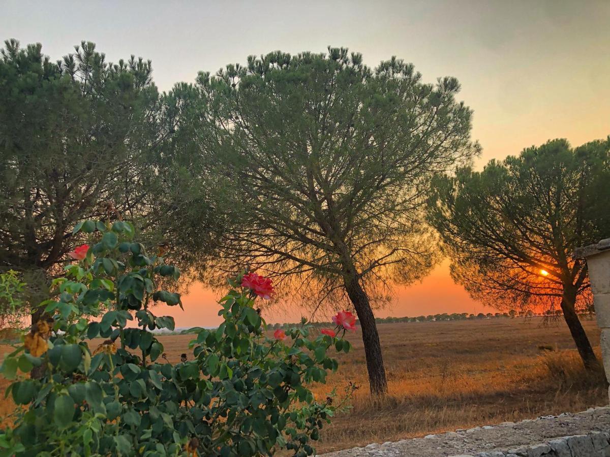 Masseria Casina Montana Corigliano dʼOtranto Dış mekan fotoğraf