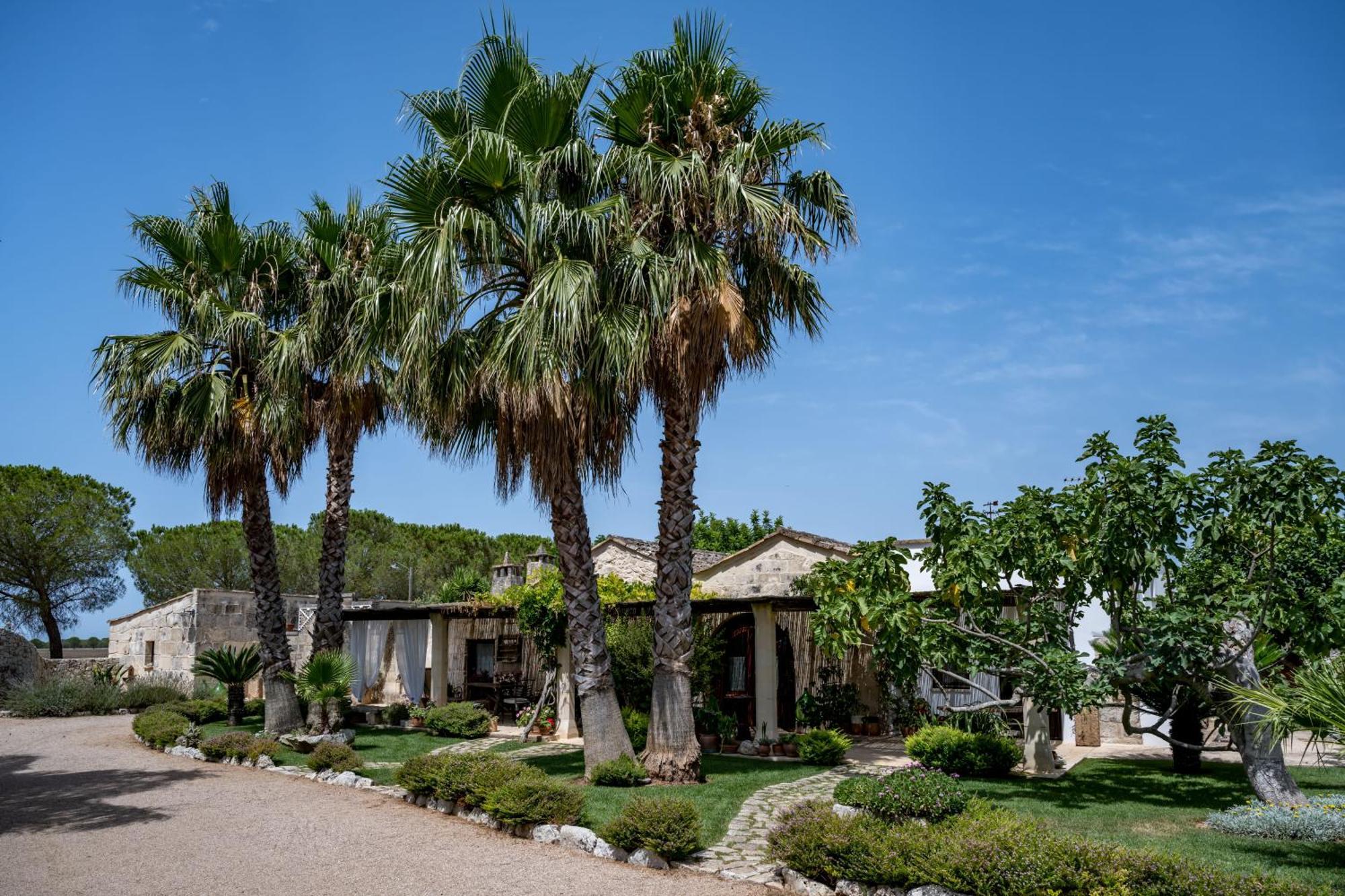 Masseria Casina Montana Corigliano dʼOtranto Dış mekan fotoğraf