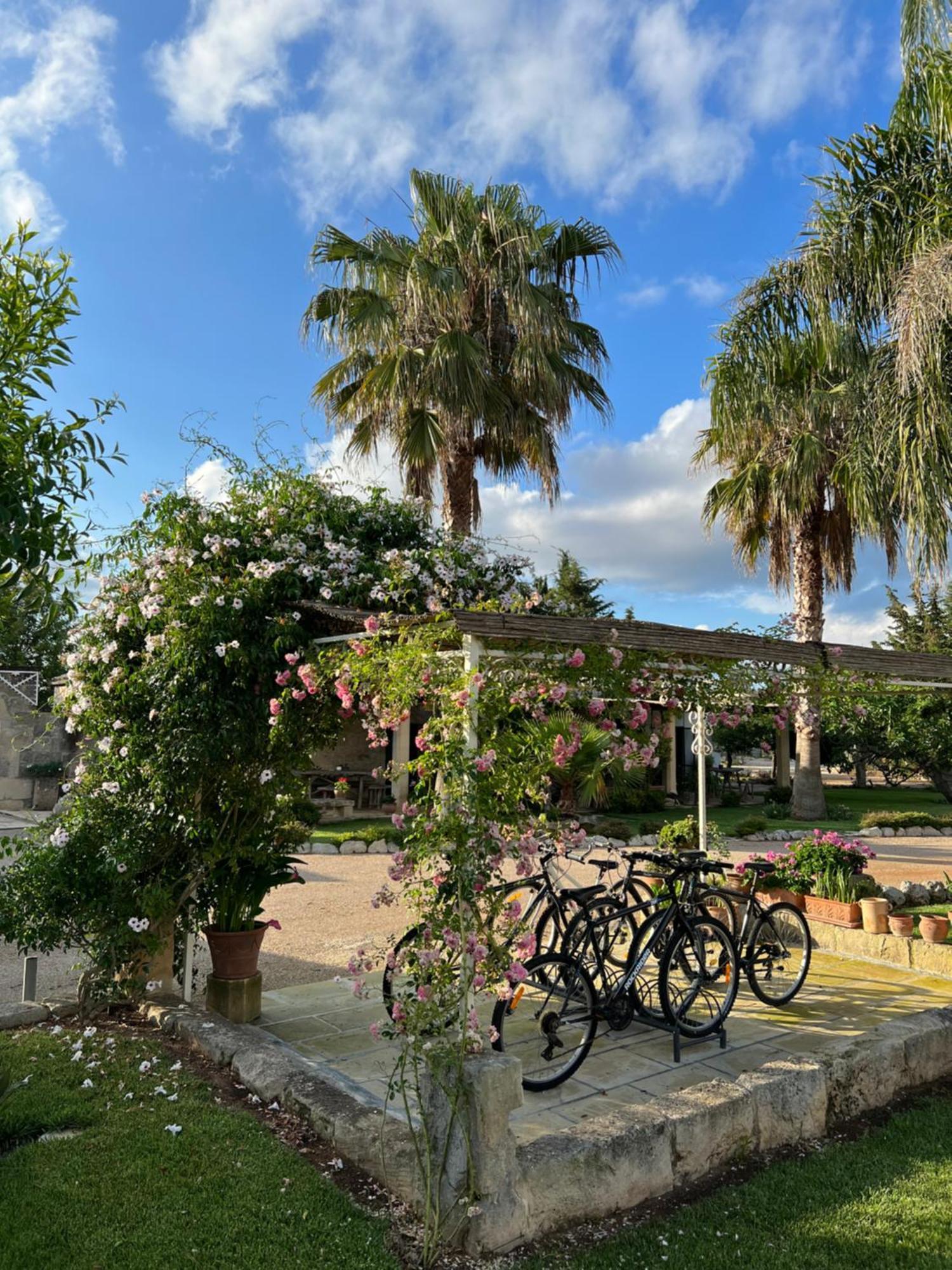 Masseria Casina Montana Corigliano dʼOtranto Dış mekan fotoğraf