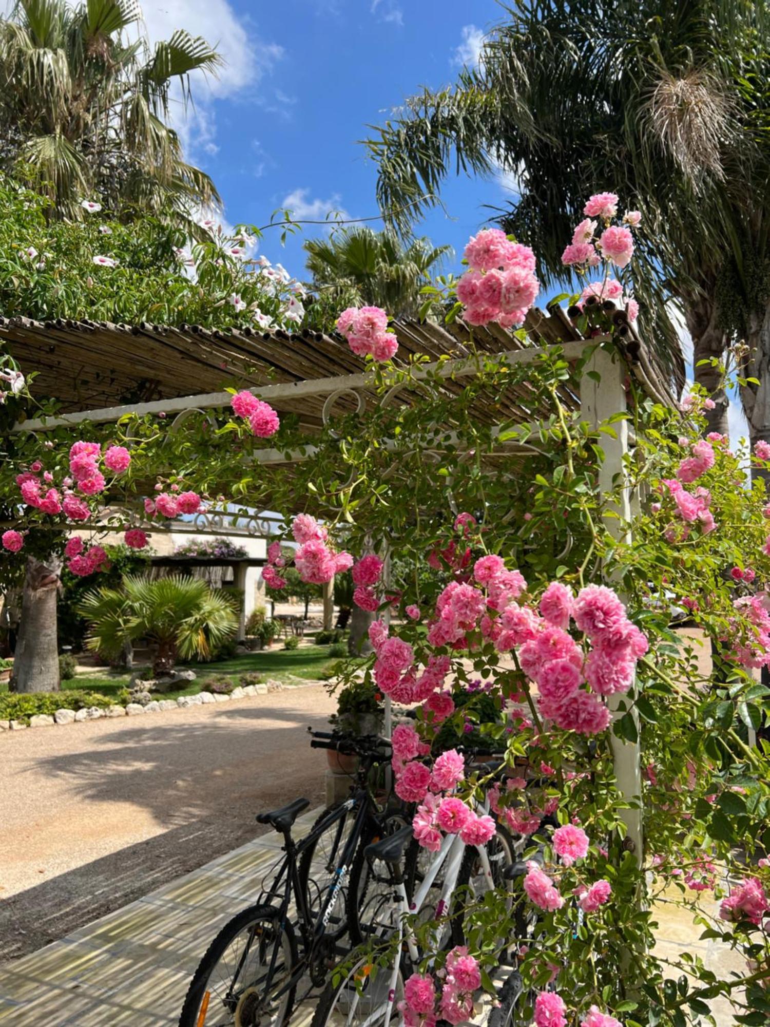 Masseria Casina Montana Corigliano dʼOtranto Dış mekan fotoğraf