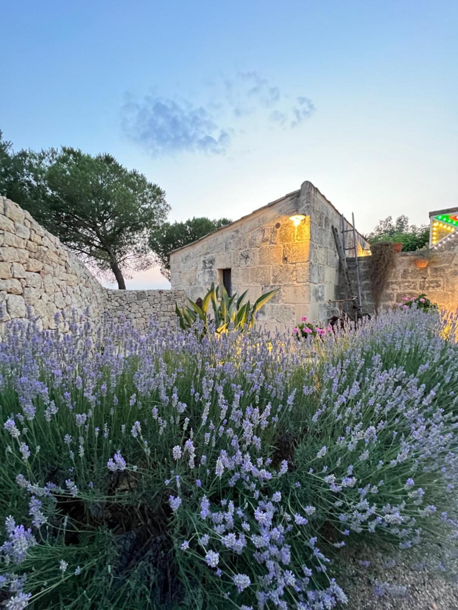 Masseria Casina Montana Corigliano dʼOtranto Dış mekan fotoğraf