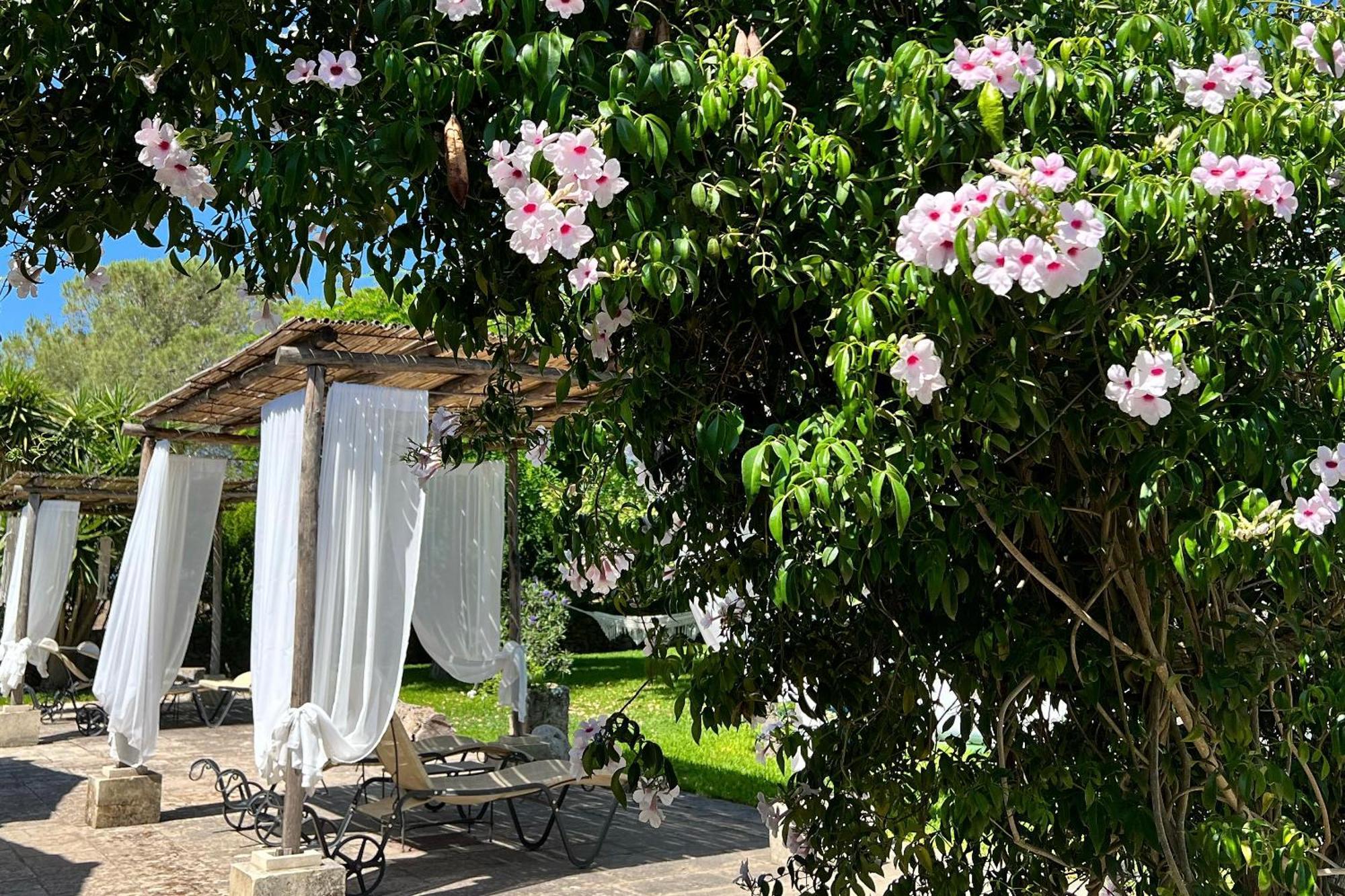 Masseria Casina Montana Corigliano dʼOtranto Dış mekan fotoğraf